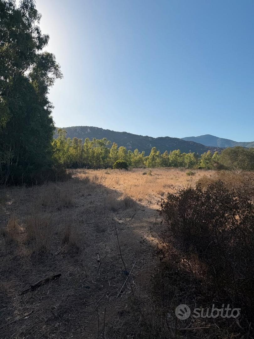 Terreno agricolo di 8.446 mq - Vista 5