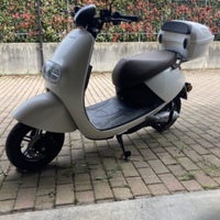 Scooter elettrico WAYEL