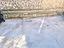 Immagine 29