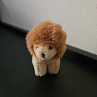 Mini Trudi Leone
