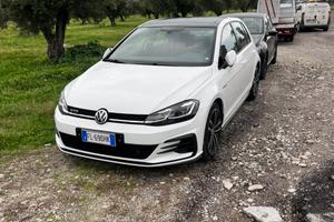 Golf 7.5 GTD