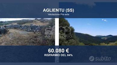 Immobile in asta di 137753 m² a Aglientu