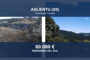 Immobile in asta di 137753 m² a Aglientu