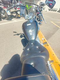 Costum Yamaha Virago 250cc 1999
