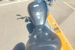 Costum Yamaha Virago 250cc 1999
