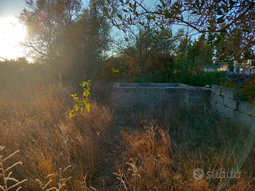 Terreno Agricolo (Nardò) Zona Torremozza
