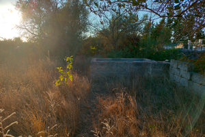 Terreno Agricolo (Nardò) Zona Torremozza