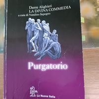 LA DIVINA COMMEDIA di Natalino Sapegno PURGATORIO 
