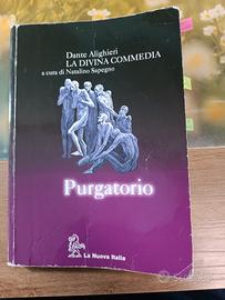 LA DIVINA COMMEDIA di Natalino Sapegno PURGATORIO 