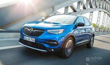 OPEL Grandland X - Grandland X 1.2 Ultimate s&s 13