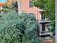 Immagine 28