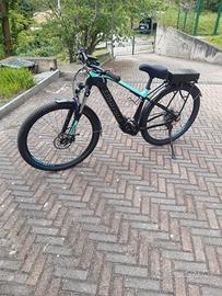 bicicletta elettroassistita