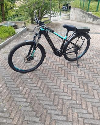 bicicletta elettroassistita