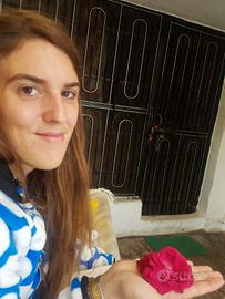 Per trovare un lavoro