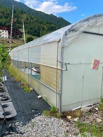 Tunnel serra piede dritto 5x12m