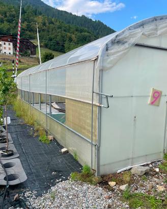Tunnel serra piede dritto 5x12m