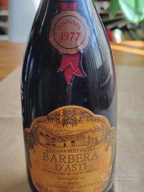 Barbera D' Asti