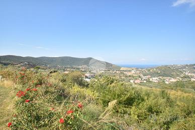 TER. AGRICOLO A AGROPOLI