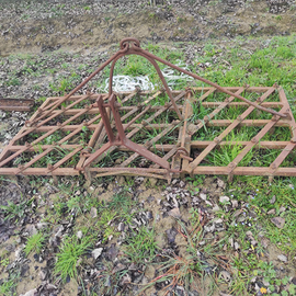 Erpice a denti/rastrello