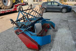 cava radicchi da 1,45m