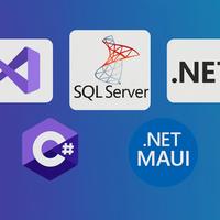 Programmatore siti web, desktop, app mobile, IOT