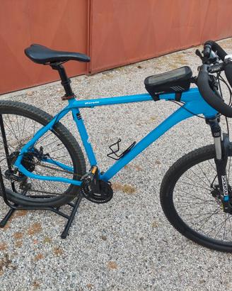 MTB RUOTE DA 29 TG XL AREALI