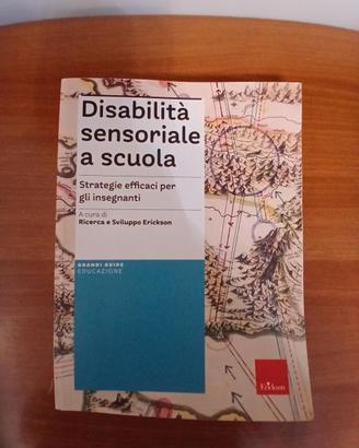 Disabilità sensoriale a scuola Strategie efficaci