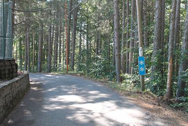 Bilocale Sila Fago del Soldato