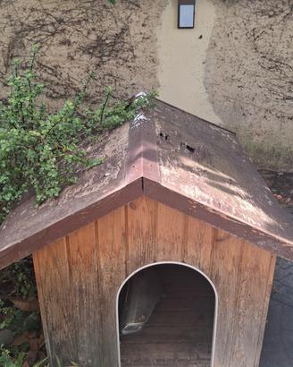 cuccia per cani 
