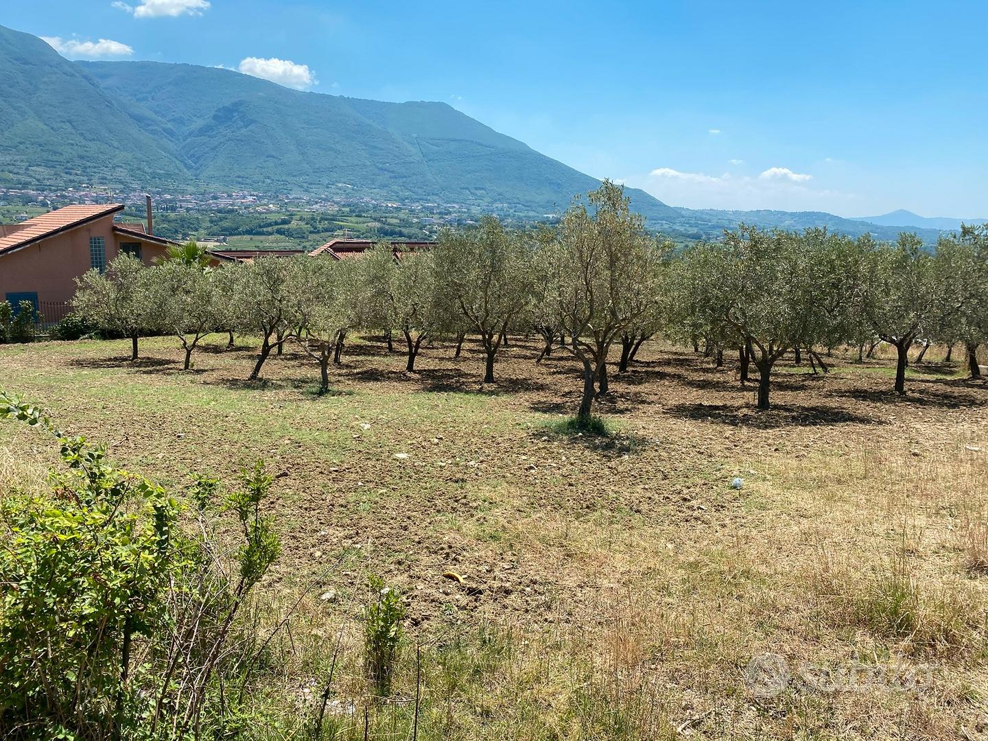 Terreno panoramico - Vista 2
