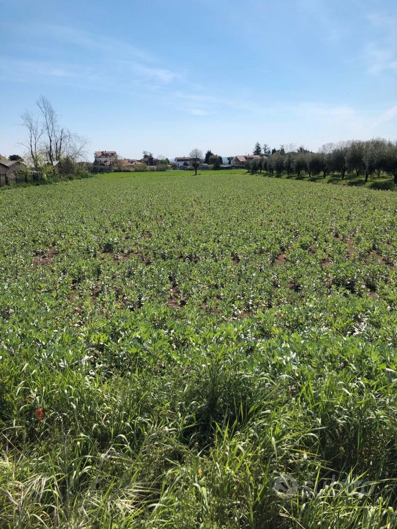 Area costruzione - Vista 3