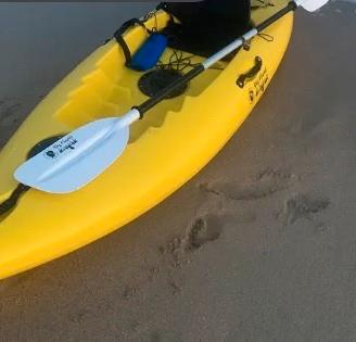 kayak compresa di pagaia  carrello seggiolino