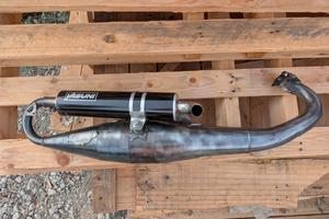 Yasuni c16