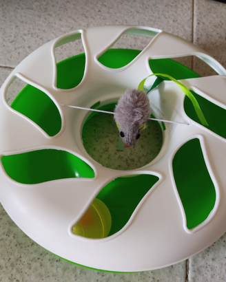 Gioco ruota per gatti