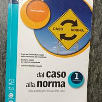 dal caso alla norma 1