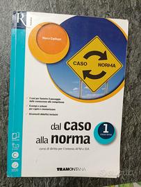 dal caso alla norma 1