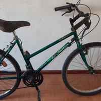 BICI MTB