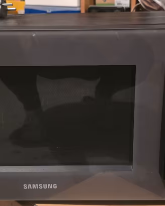 micronde Samsung 