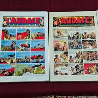 Riviste vintage L' audace