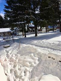 Disponibile casa Pescasseroli per periodi vari