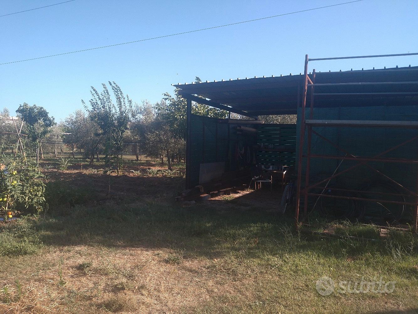 Terreno agricolo zona selciatella - Vista 3