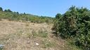 ter-agricolo-a-vico-nel-lazio