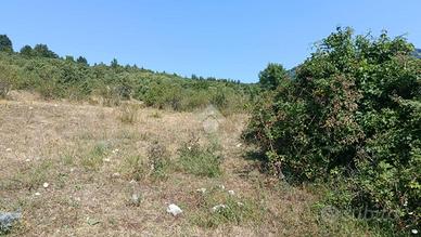 TER. AGRICOLO A VICO NEL LAZIO