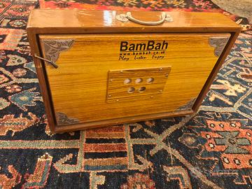 Shruti box