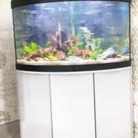Acquario 180 litri