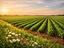 Immagine 9
