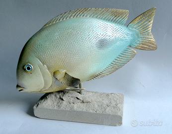 Malevolti-scultura-pesce-occhiata