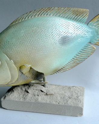 Malevolti-scultura-pesce-occhiata