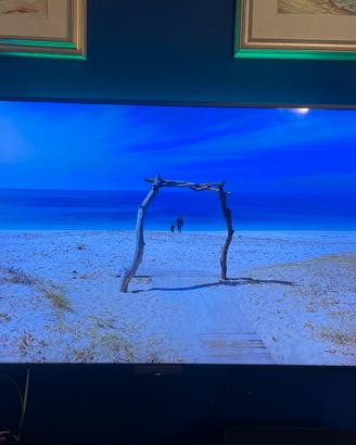 Televisore sony KDL-55W905A