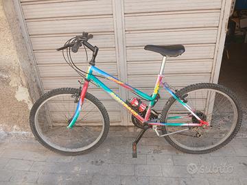 bici  24 Suntrack